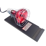 REPLACEMENT BULB FOR HEAT LAMP DEMONSTRATION KIT